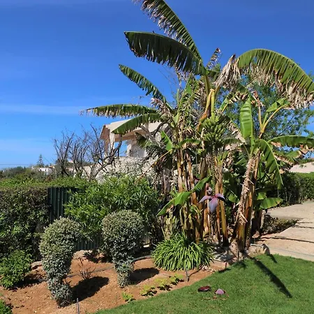 Jóia - 3 Bedroom With Swimming Pool In Boliqueime, Near Vilamoura, Algarve *