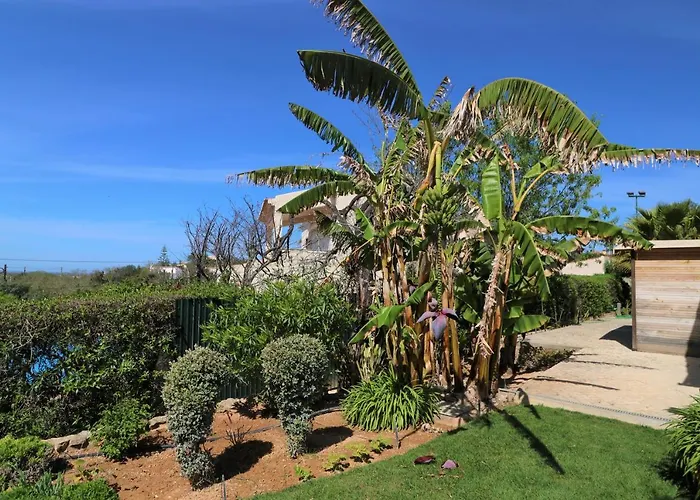Joia - 3 Bedroom With Swimming Pool In Boliqueime, Near Vilamoura, Algarve *